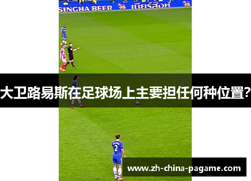 大卫路易斯在足球场上主要担任何种位置? 大卫路易斯在足球场上主要担任何种位置?