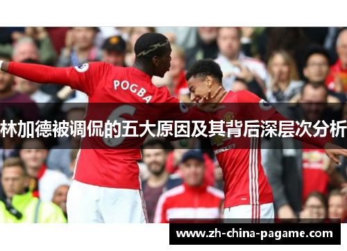 林加德被调侃的五大原因及其背后深层次分析