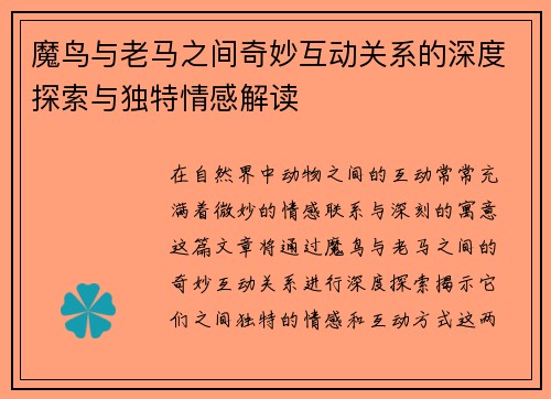 魔鸟与老马之间奇妙互动关系的深度探索与独特情感解读