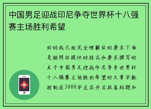 中国男足迎战印尼争夺世界杯十八强赛主场胜利希望
